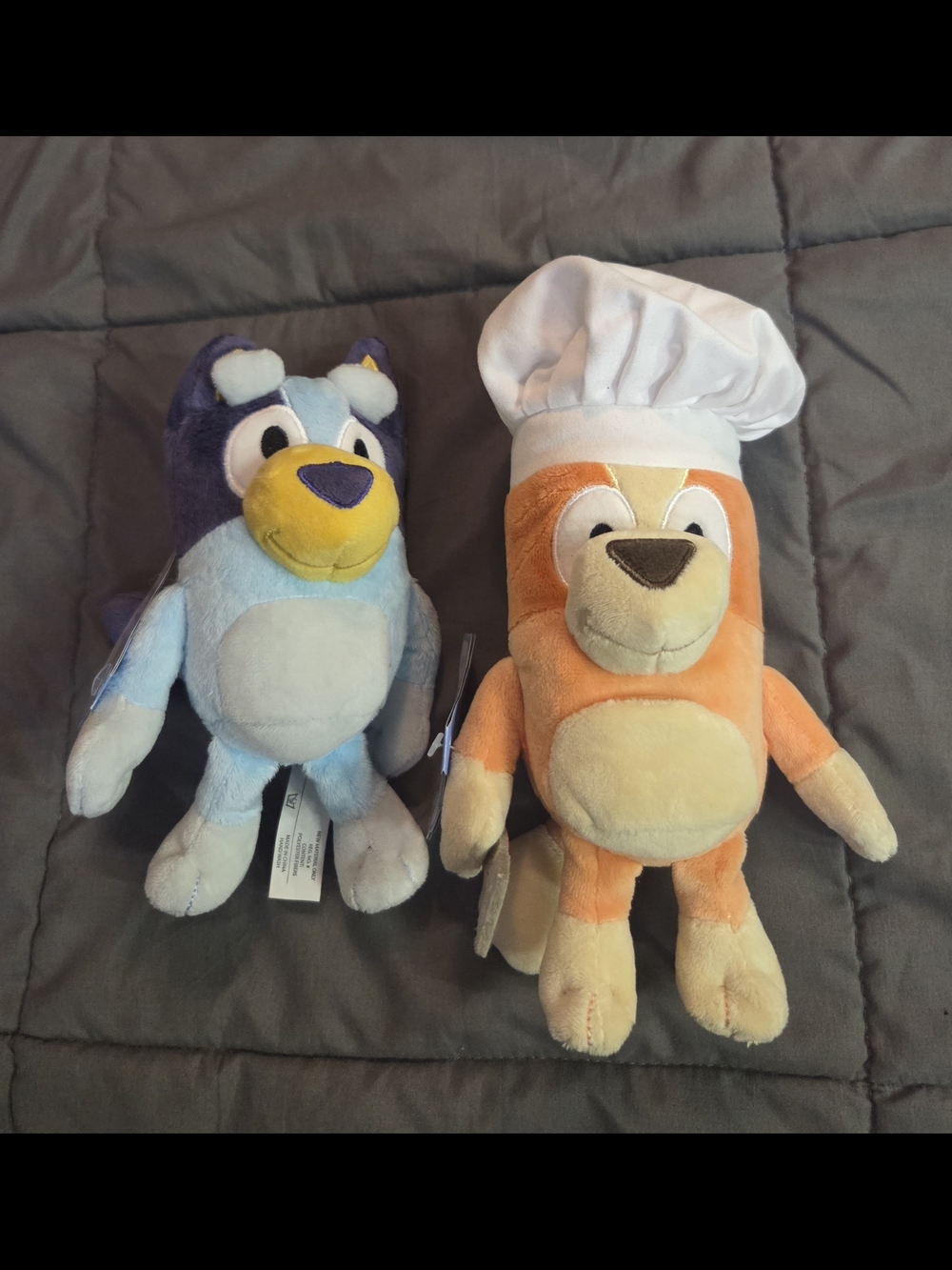 Bluey Bundle